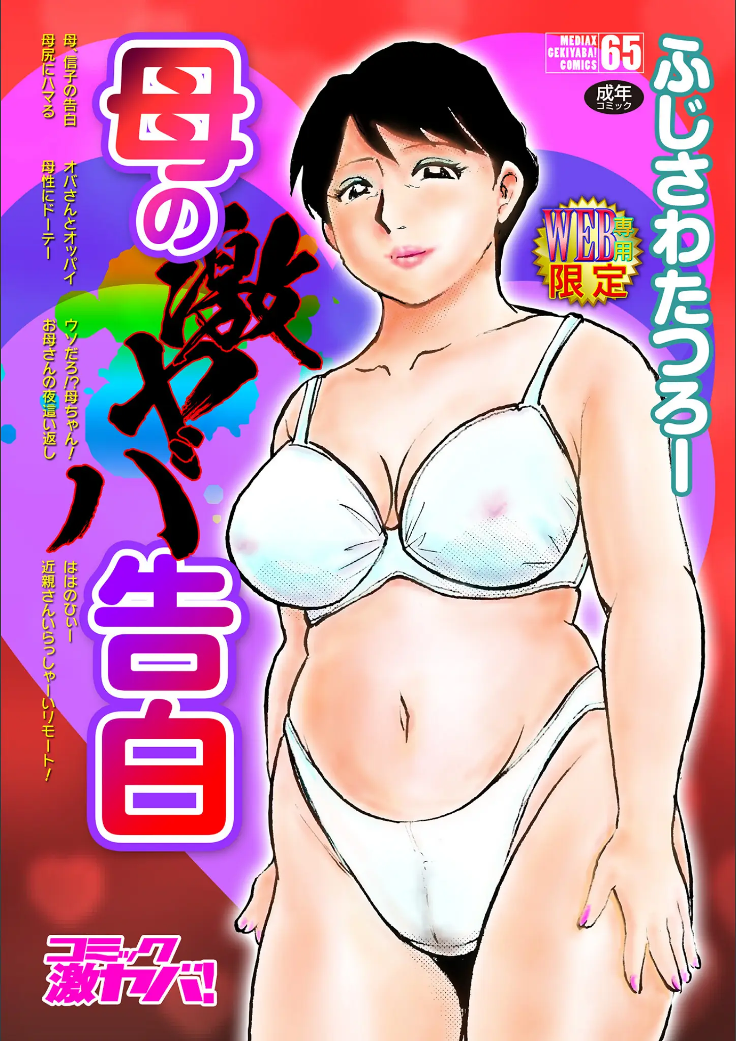 ふじさわたつろーのランジェリー・表紙絵画像（b137amdax01280）#1