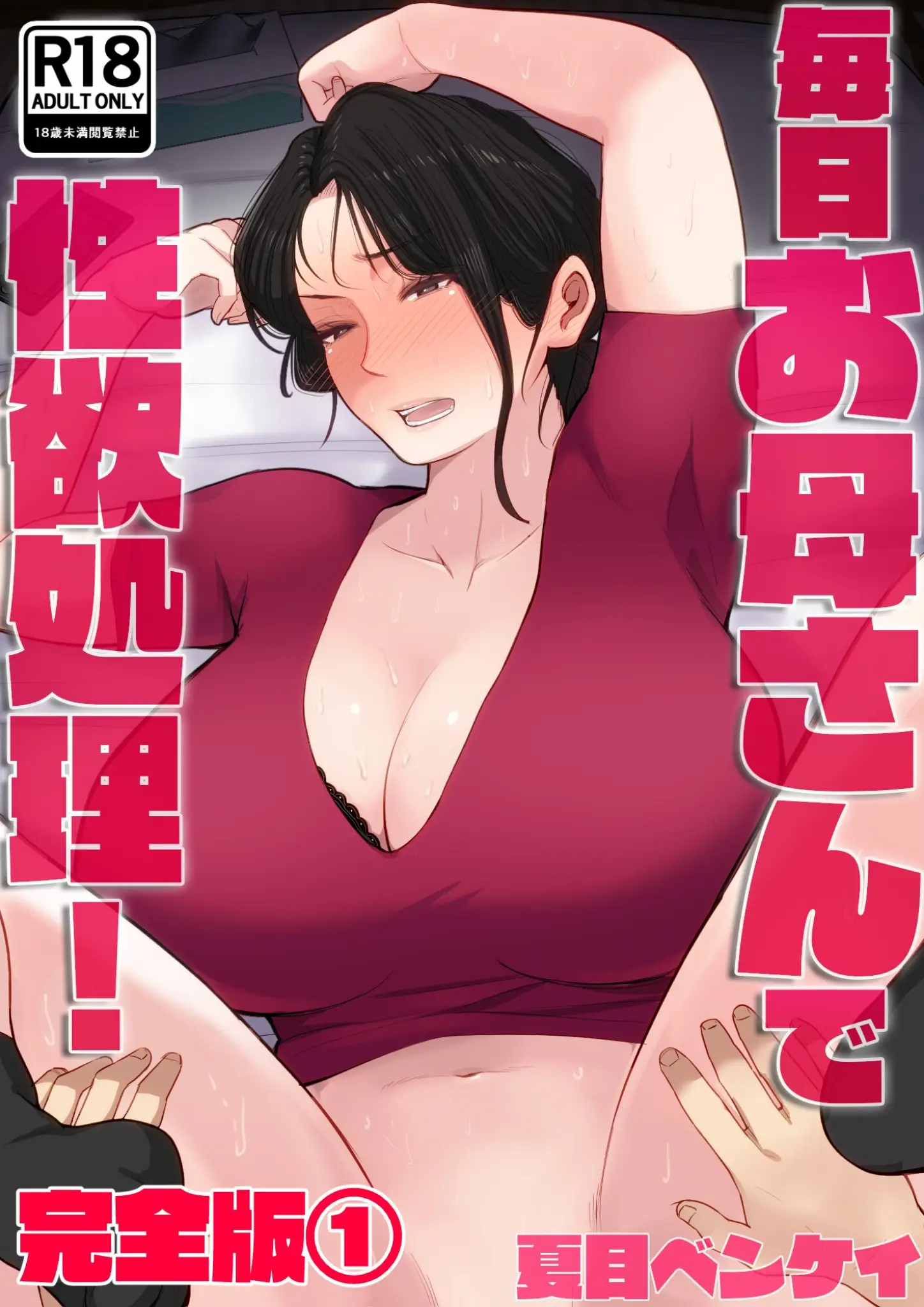 夏目ベンケイの表紙絵・超乳画像（b454cmow04082）#1