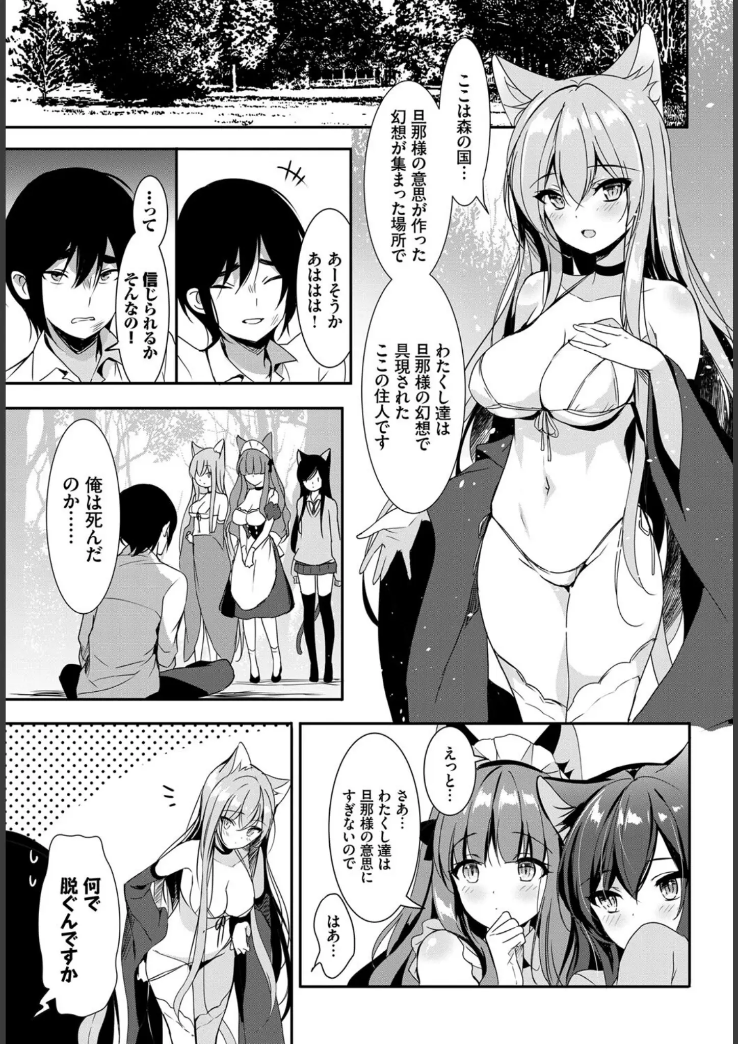 emilyほかのメイド・獣耳・けもみみ画像（b472abnen01997）#14